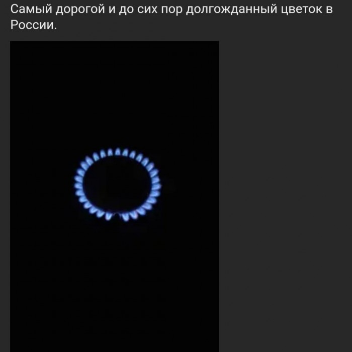 Бредзона 14.12.19