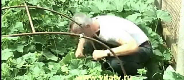 Американский дом Елены Малышевой