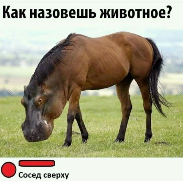 Так себе картинки 13.06.20