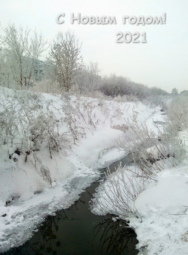 2020 в фотографиях