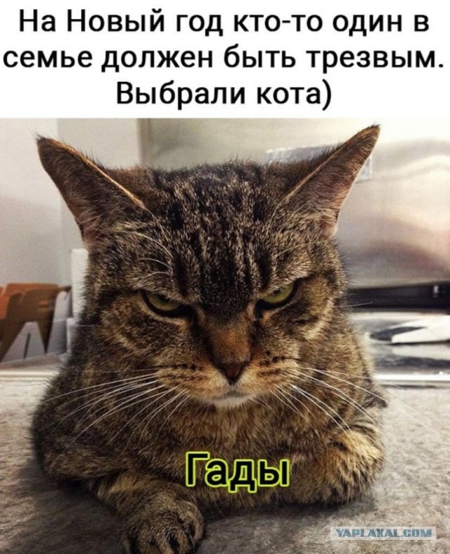 Деревенский vs городской