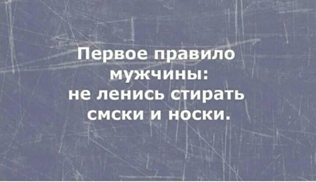 Немного разностей, шалостей и пушистостей