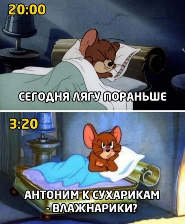 Бредзона 02.02.21