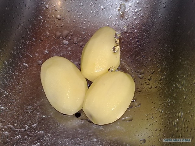 Куриный бульон для Чайников, Или «Кура-International»