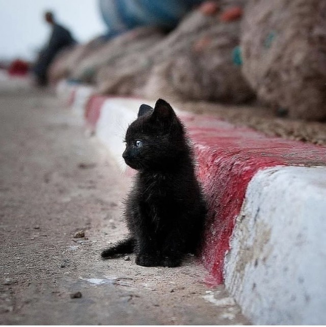 Картинки и мемы для настроения 04.08.2021