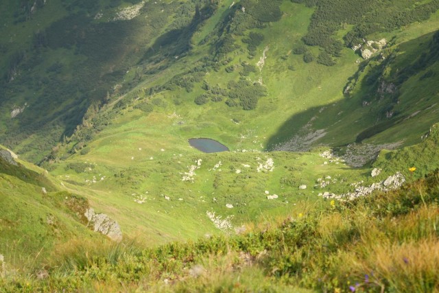 Карпаты, Закарпатье.
