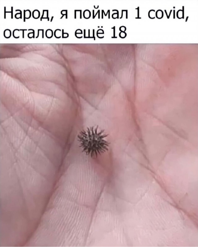 Так себе картинки 30.01.22