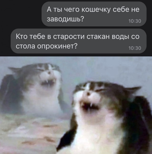Весёлый полтишок 18.02