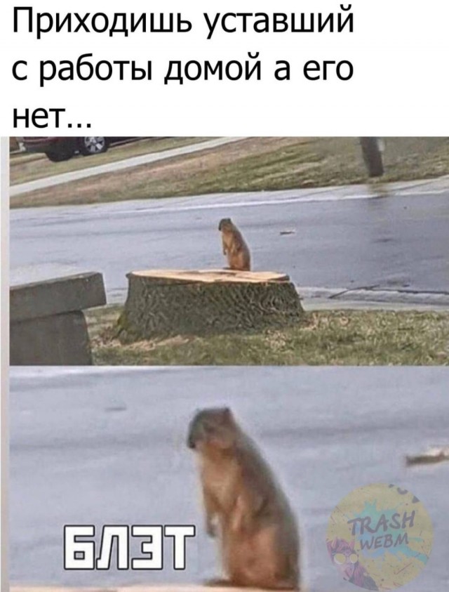 Субботняя чернуха!