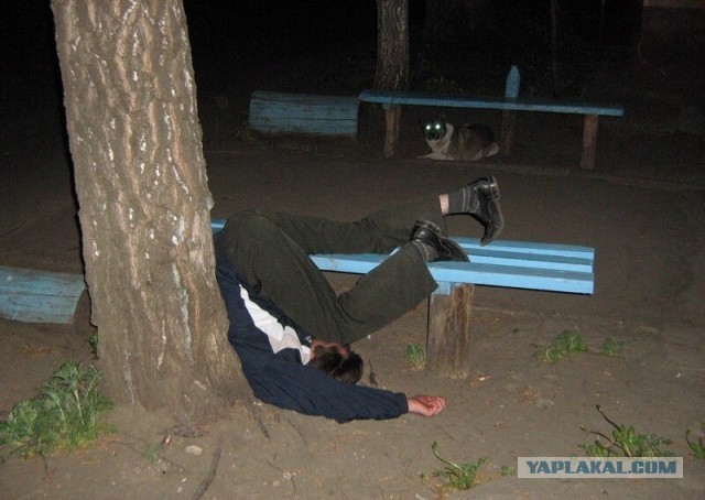Совята спят на животе