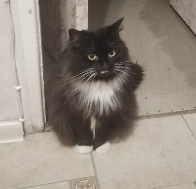 Кот д’Ивуар