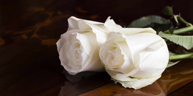 Украинский артист Андрей Данилко передал две розы на могилу Шатунова