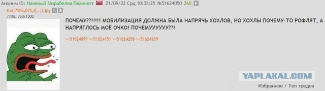 Выступление министра обороны Сергея Шойгу