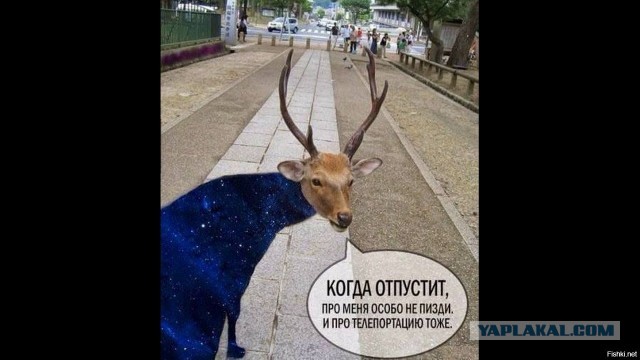 Равноправие с равными обязанностями? Я - "за"!