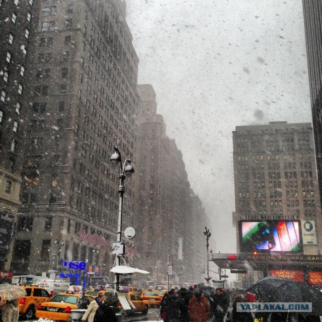 Как я в NYC ездил.