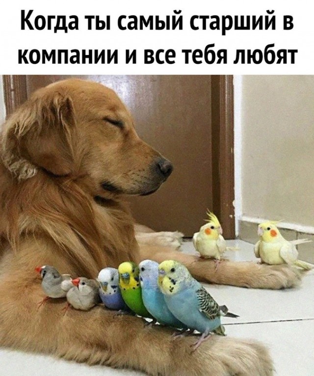 Картинки и мемы, всяко разно - 179