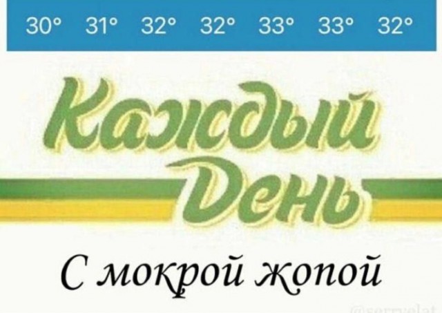 Всего понемногу. От 10.08.