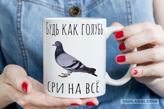 Откуда берутся женоненавистники