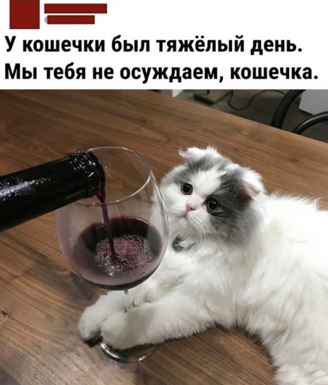 Почему люди ездят в отпуск в одно и то же место.