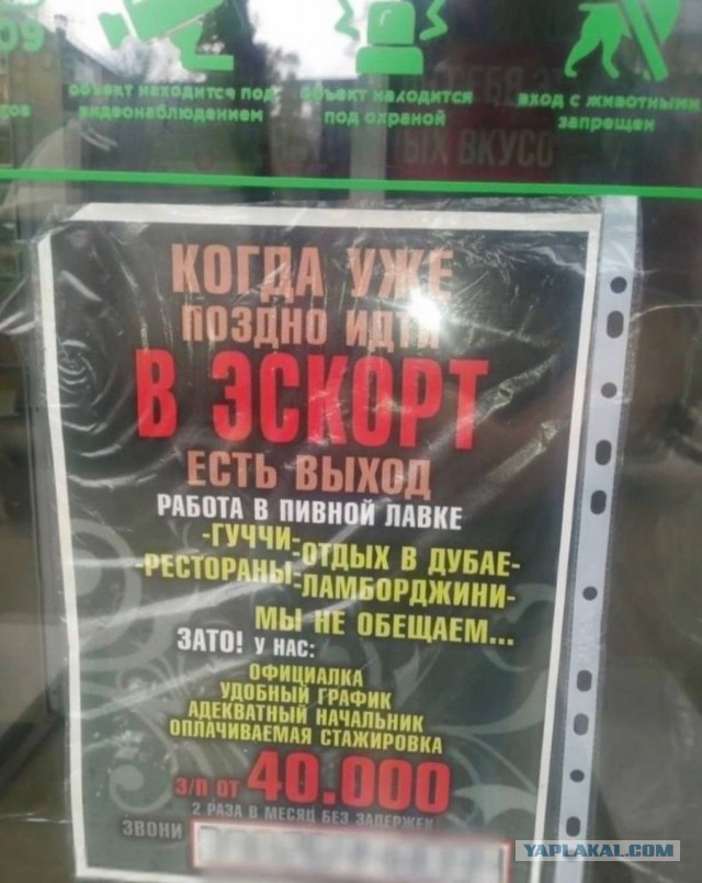 Хочешь узнать, как женщина занимается сексом? Посмотри на то, как она ест