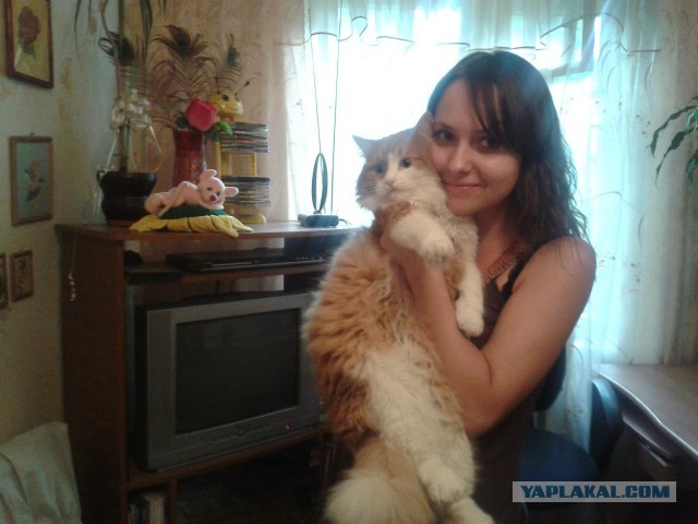 Котовторник 30.04.2013
