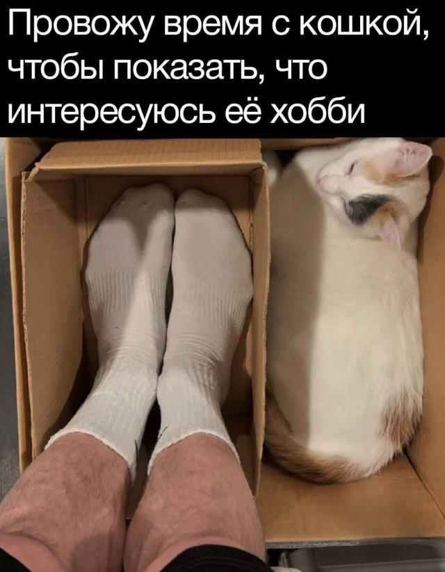 Завалялось тут случайно немного забавных картинок