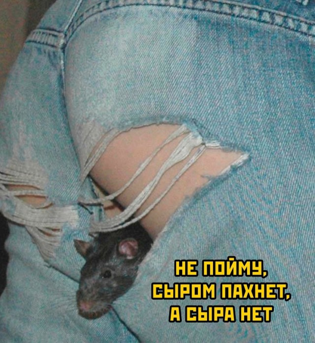 Весёлый полтшок 09.05.24