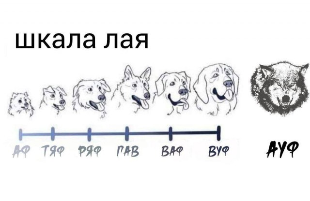 Всего понемногу. От 20.05.2024