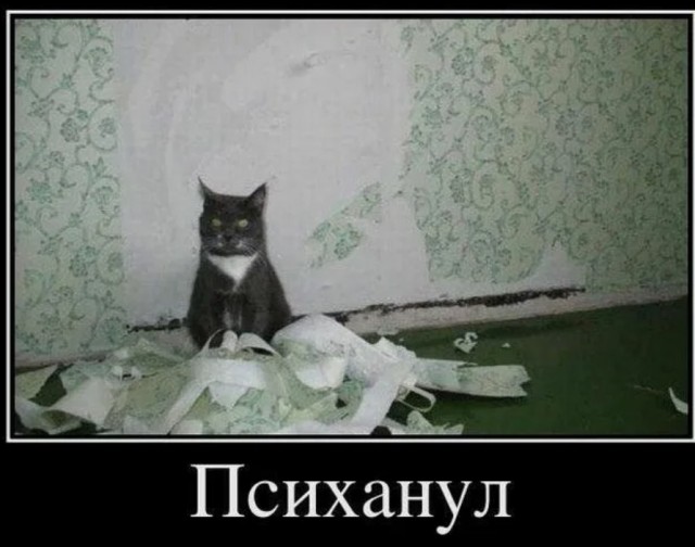 А морда довольная-довольная