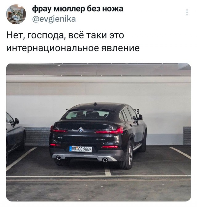 Немного забавных картинок от 18.08.2024