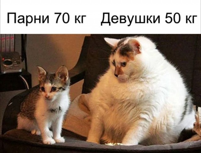Веселые картинки к маленькой пятнице (28.08)