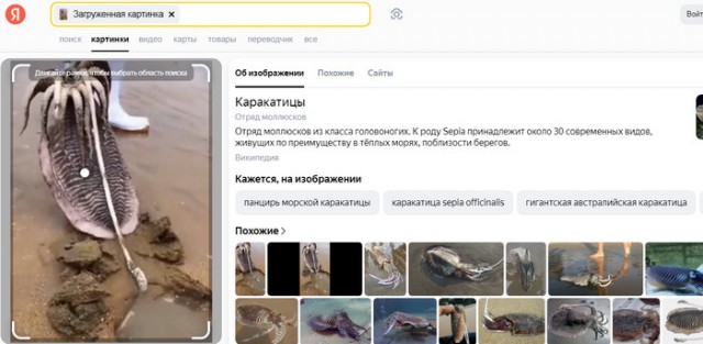 Да куда ты меня тащишь