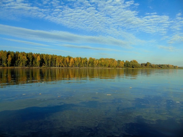 Немного насекомых красок лета в ленту