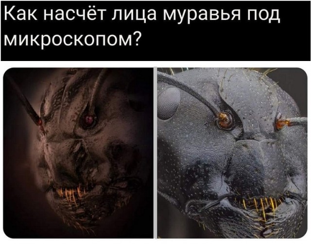 Картинки разные с надписями и без