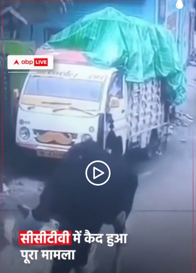 Рогатый угонщик