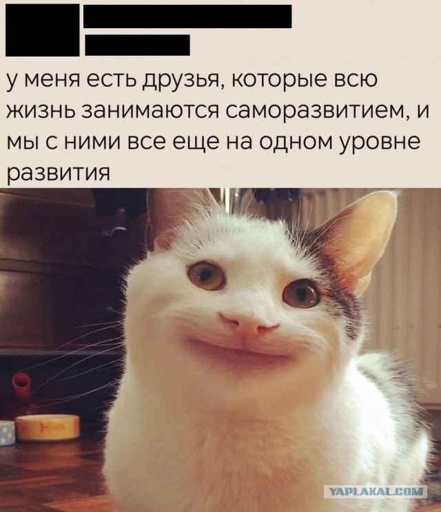 Нуштош 29.07.2025. Отделение цирка от государства (s4e5)