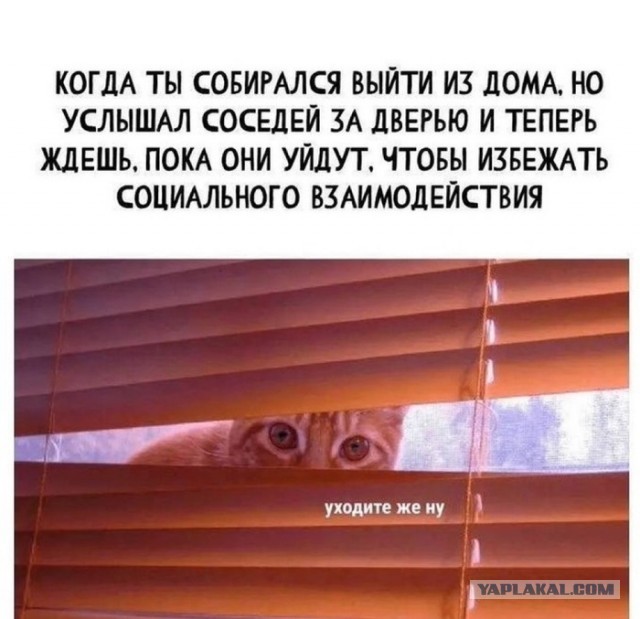 Так себе картинки 29.07.25