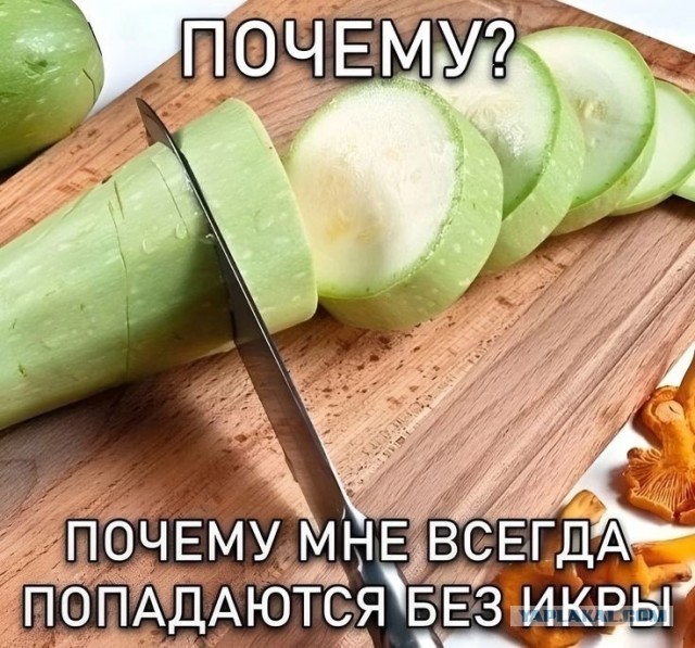 Нуштош 15.08.2025. В доме горит свет (s4e7)