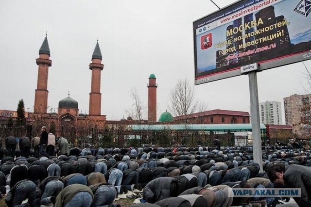 Новый закон