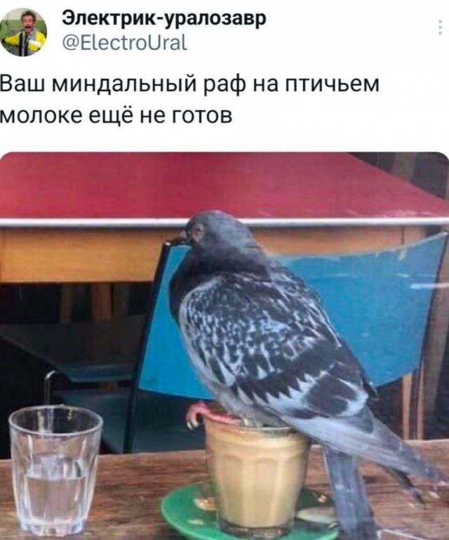 Немного картинкафф для настроения (баяны-перебаяны)
