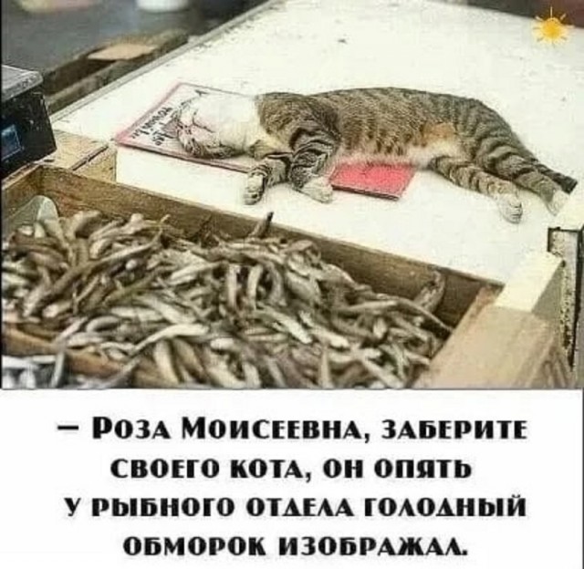 Так себе картинки 06.09.25