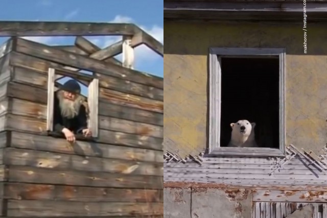 Необычные кадры из жизни полярных медведей сняли на острове Колючин.