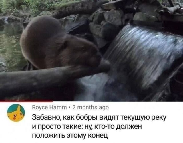 Картинки для деградации 75 (разной степени свежести)