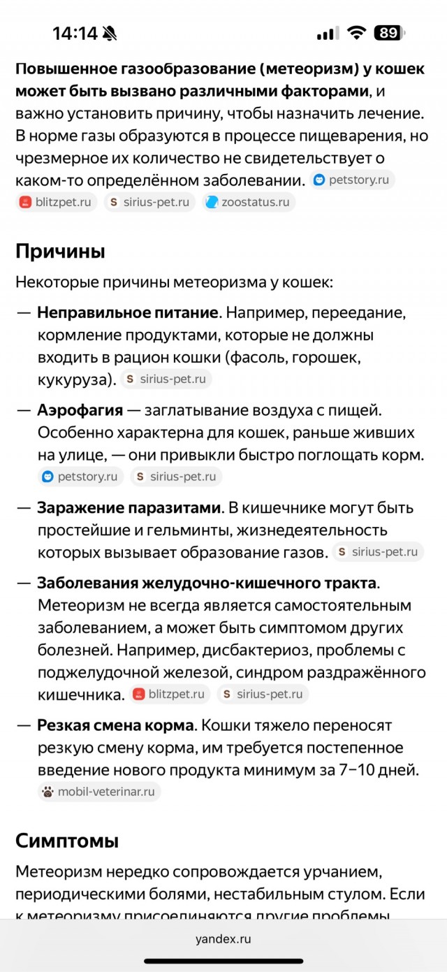 Кот пердит