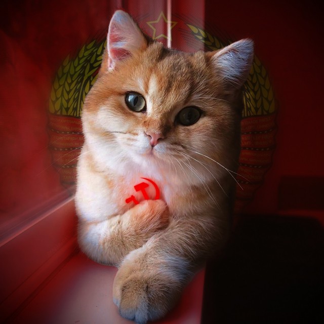 Туть