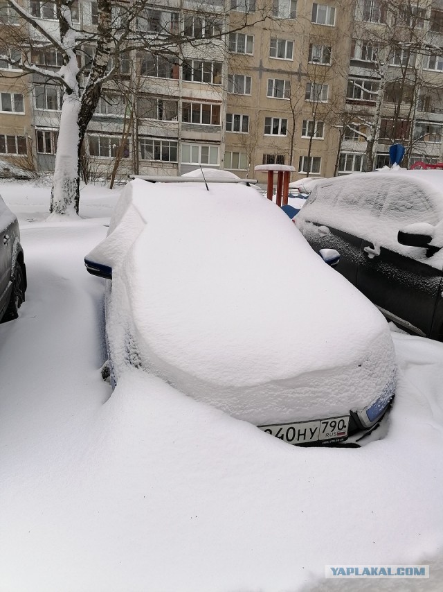 Где лопаты? В середине января неожиданно выпал снег, водятлы были не готовы