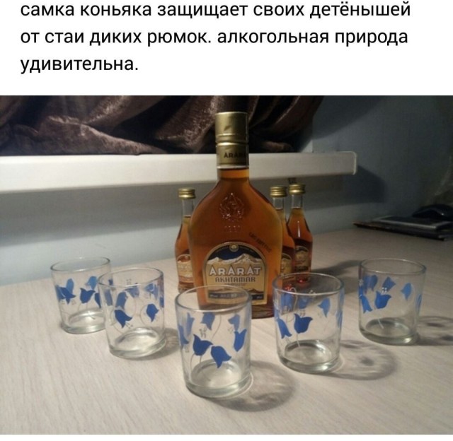 Пятничный бухлоход