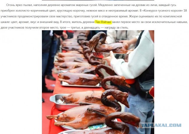 Конкурс по жарке гуся в Дунгуане