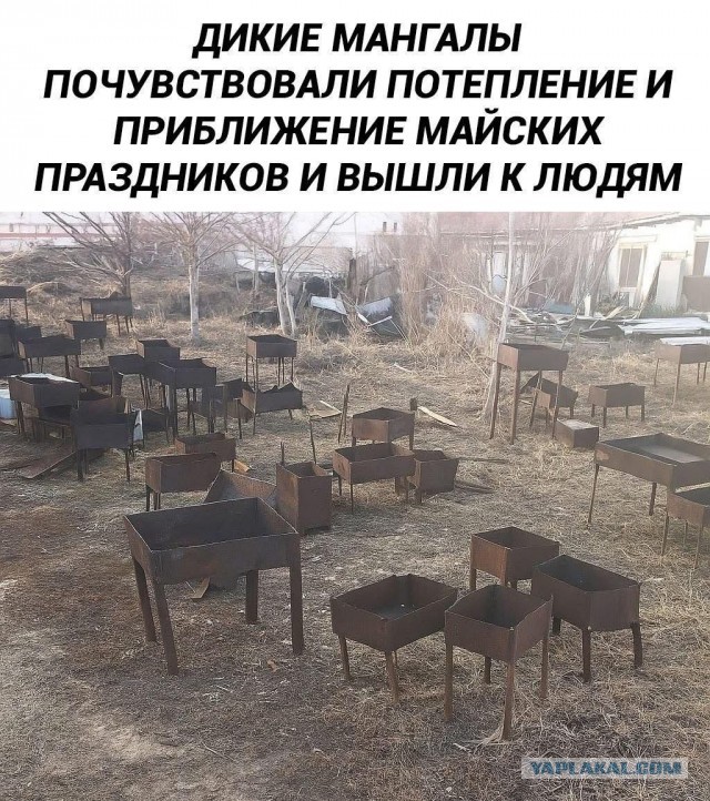Запретить одноразовые мангалы для шашлыков предложили в Госдуме