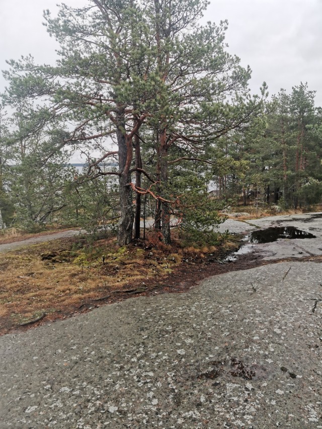 Крепостной редут Тронгзунд. Здесь снимали "Особенности национальной рыбалки"